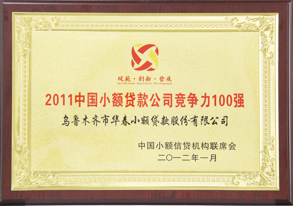 2011中國小額貸款公司競爭力100強