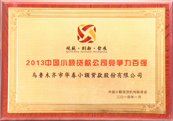 2013中國小額貸款公司競爭力百強